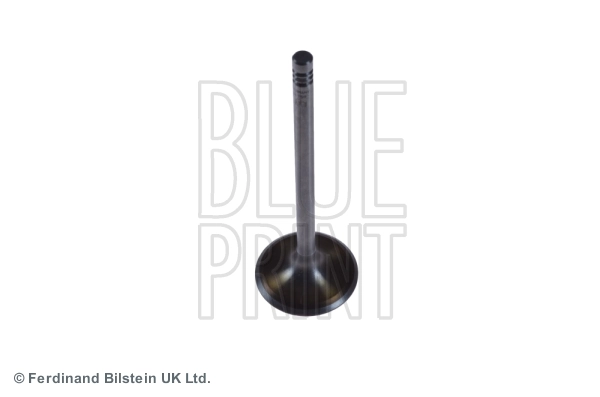 Intake Valve